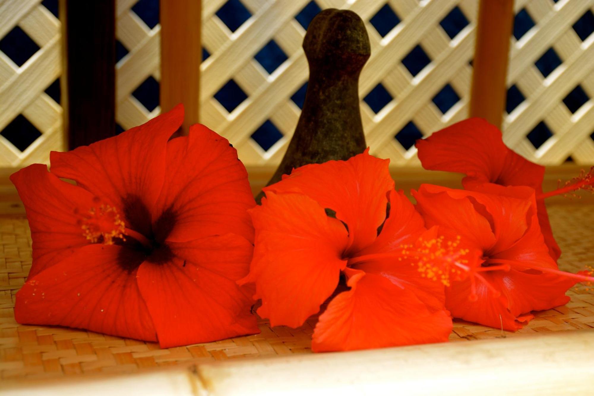 Afareaitu Te Ora Hau Ecolodge חדר תמונה