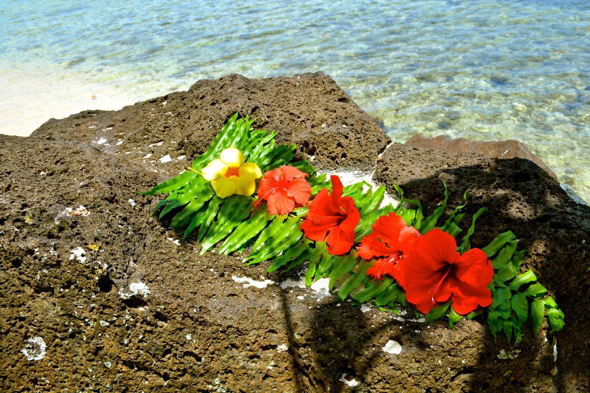 Afareaitu Te Ora Hau Ecolodge חדר תמונה