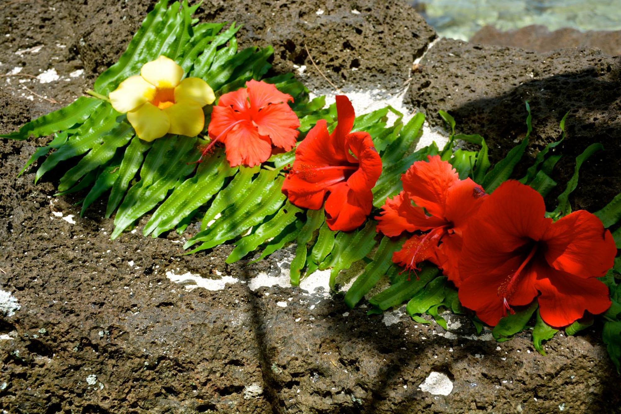 Afareaitu Te Ora Hau Ecolodge חדר תמונה