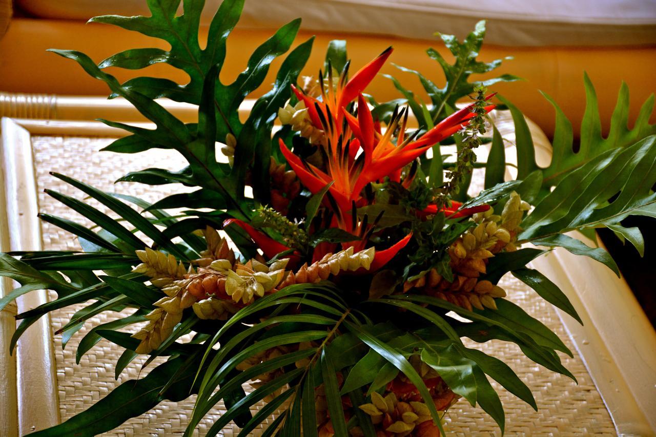 Afareaitu Te Ora Hau Ecolodge מראה חיצוני תמונה